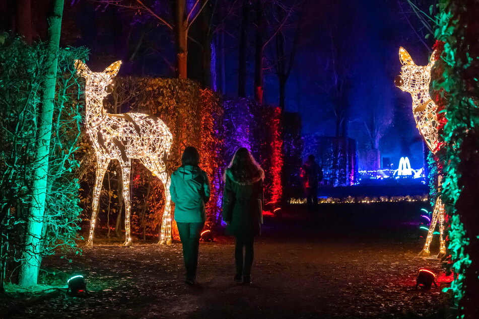 Bei der Lumagica wird der Schlosspark Lichtenwalde in ein mystisches Lichtermeer getaucht.