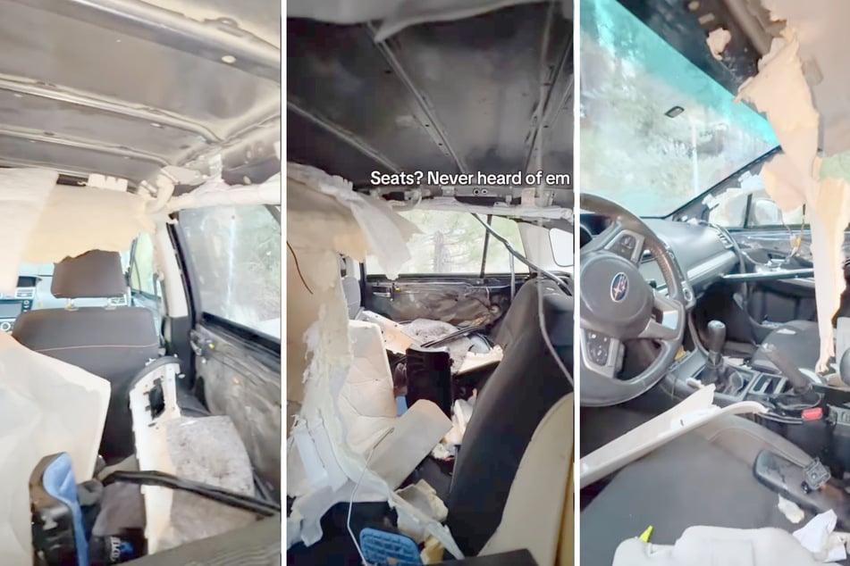Ein Bär hatte das Innere des Fahrzeugs komplett demoliert.