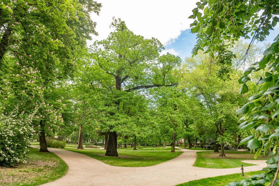 Auch die Wege wurden im traditionsreichen Park modernisiert und neu gemacht.
