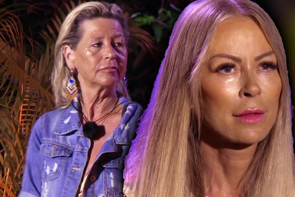 Kampf der Realitystars: Hetzte Jenny Elvers gegen Willi Herrens Familie? "Das ist natürlich unsinnig!"