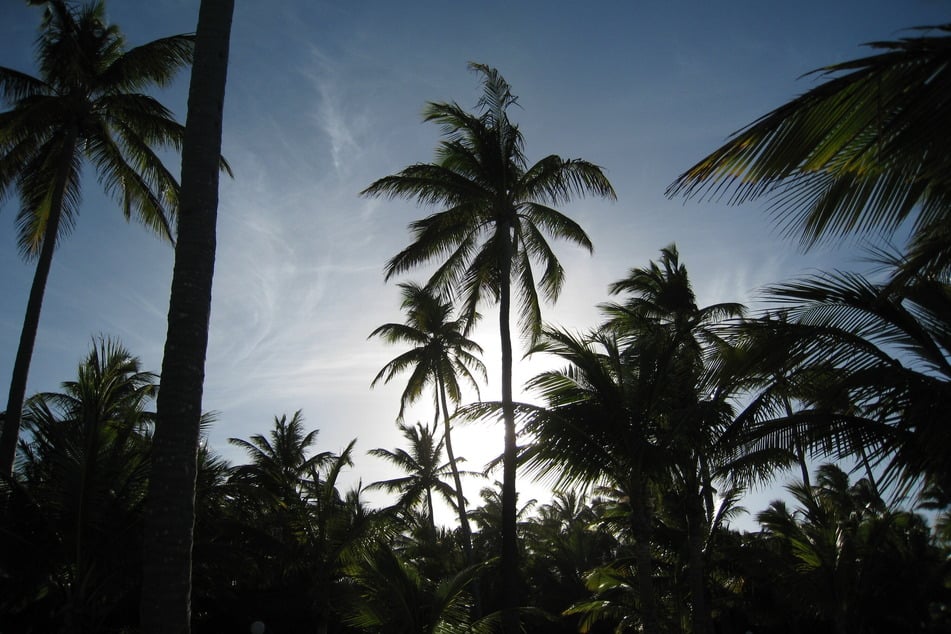 Die Wollny-Tochter war vor einigen Tagen nach Punta Cana in die Dominikanische Republik gereist. (Archivfoto)
