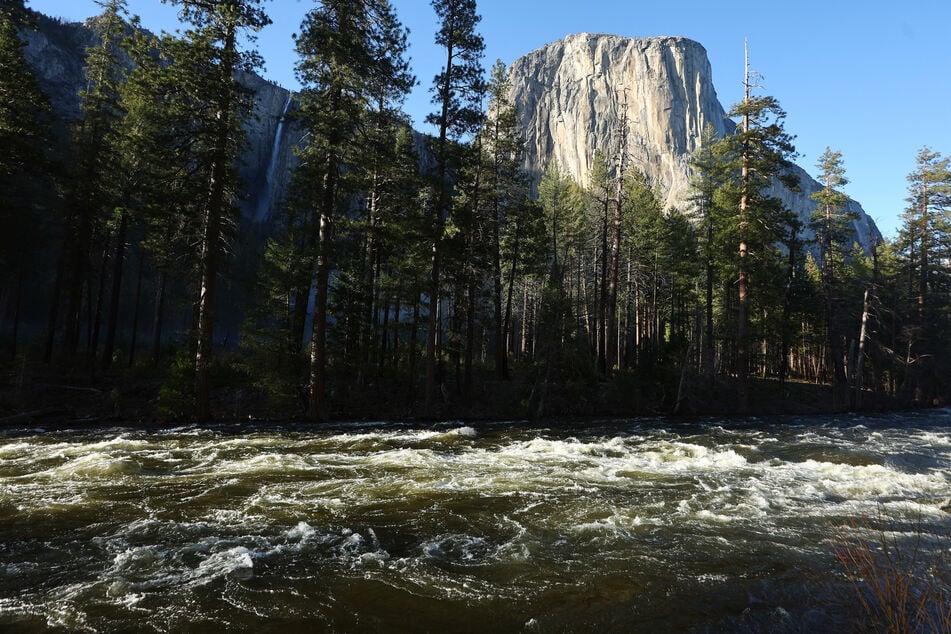 A wildlife biologist has been fired by the National Park Service after draping a transgender pride flag from El Capitan in Yosemite National Park.