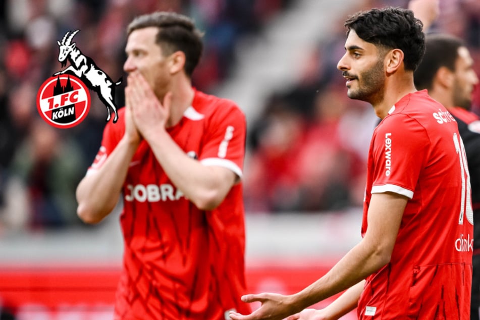 Verstärkung gesucht: 1. FC Köln will diesen Bundesliga-Stürmer