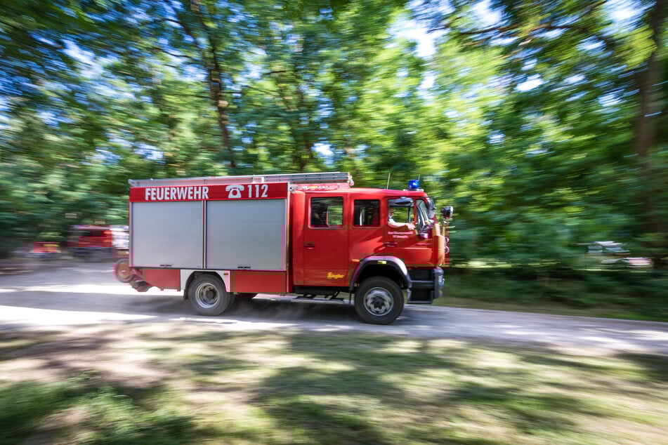 Die Feuerwehr ist am Samstagnachmittag zu einem Brand in den Meißner Stadtpark ausgerückt. (Symbolfoto)