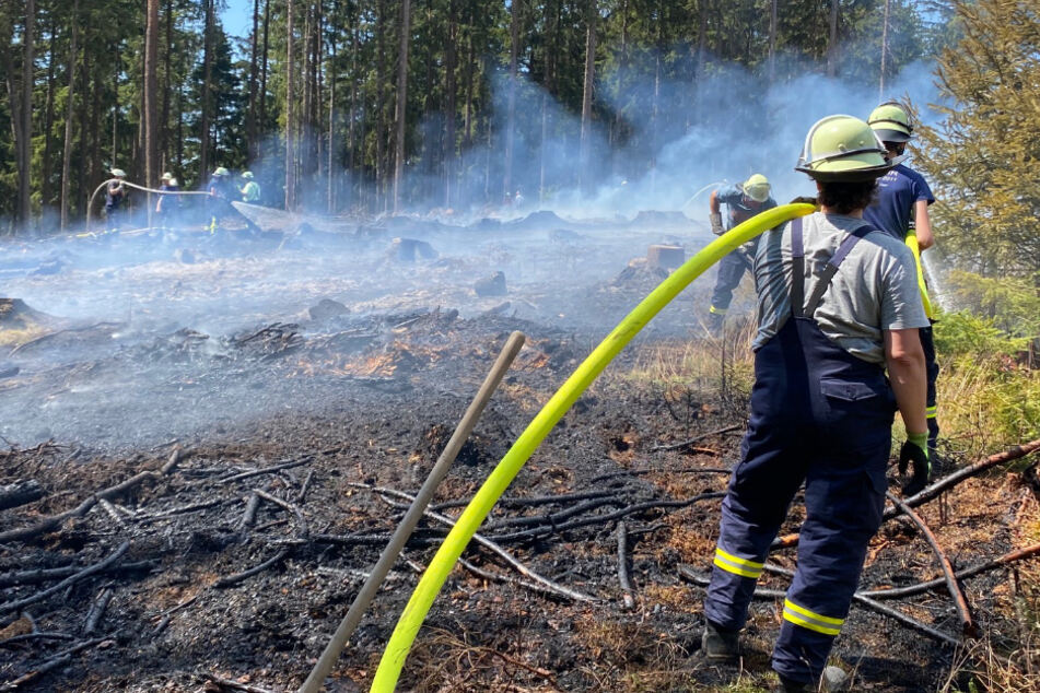 In Schmitten (Hochtaunuskreis) brach am Samstag ein Feuer auf einer 200 Quadratmeter großen abgerodeten Waldfläche aus.