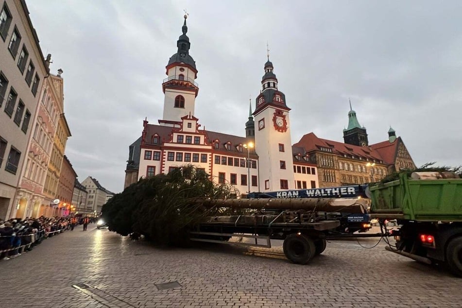 Gegen 16.30 Uhr kam der Chemnitzer Weihnachtsbaum am Marktplatz an.