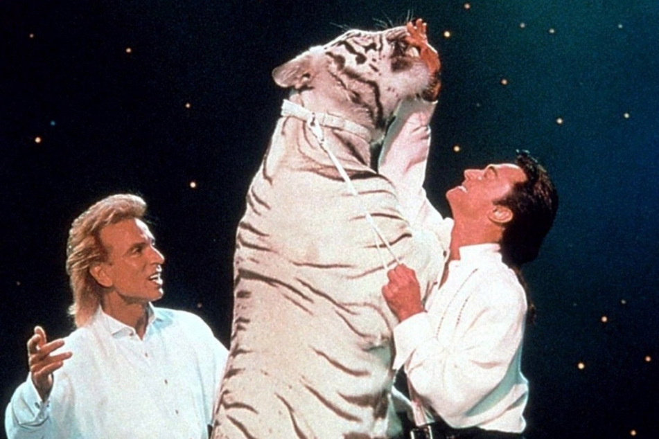 Ergü lernte Siegfried & Roy und ihre weißen Tiger persönlich kennen.