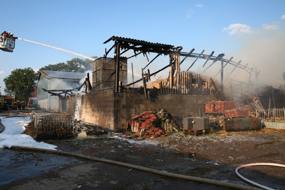 Kuhstall geht in Flammen auf: Zahlreiche Tiere sterben im Feuer