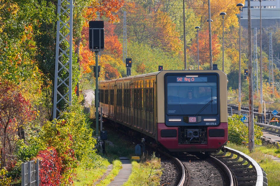Arbeiten an der Stellwerkstechnik sorgen für diverse Streckensperrungen im Netz der Berliner S-Bahn. (Archivfoto)