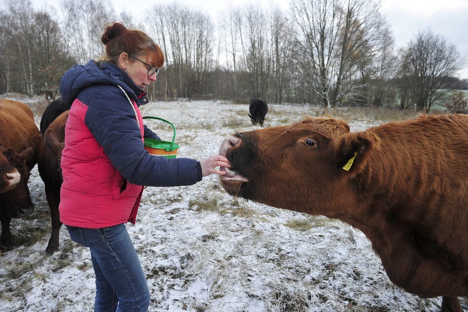 Die Züchterin und das liebe Vieh: Susann Enzmann (43) nimmt sich Zeit für ihre Tiere.