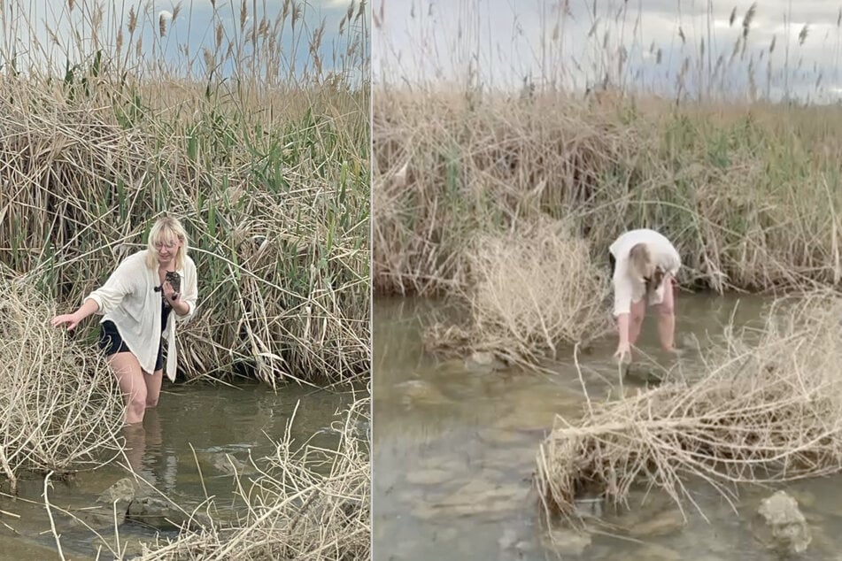 Anja aus Dresden nahm den beschwerlichen Weg durchs Wasser auf sich, um eine kleine Babykatze zu retten.