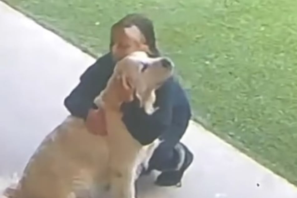 Lincoln gets consoled by a doggy daycare worker as he waited to get picked up.