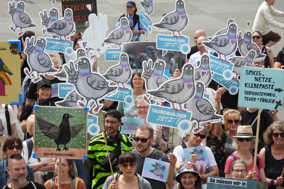 In Hamburg haben heute mehr als 100 Menschen für die von der Stadt versprochenen Taubenschläge demonstriert.