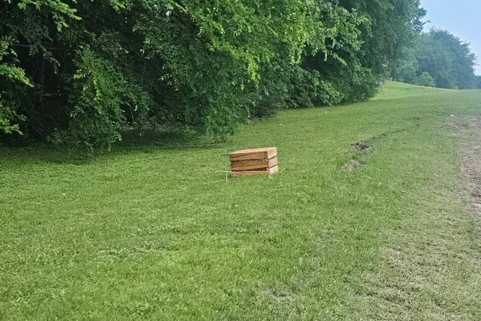 Diese Kiste brachte den Tagesablauf von Jennifer Pond durcheinander.