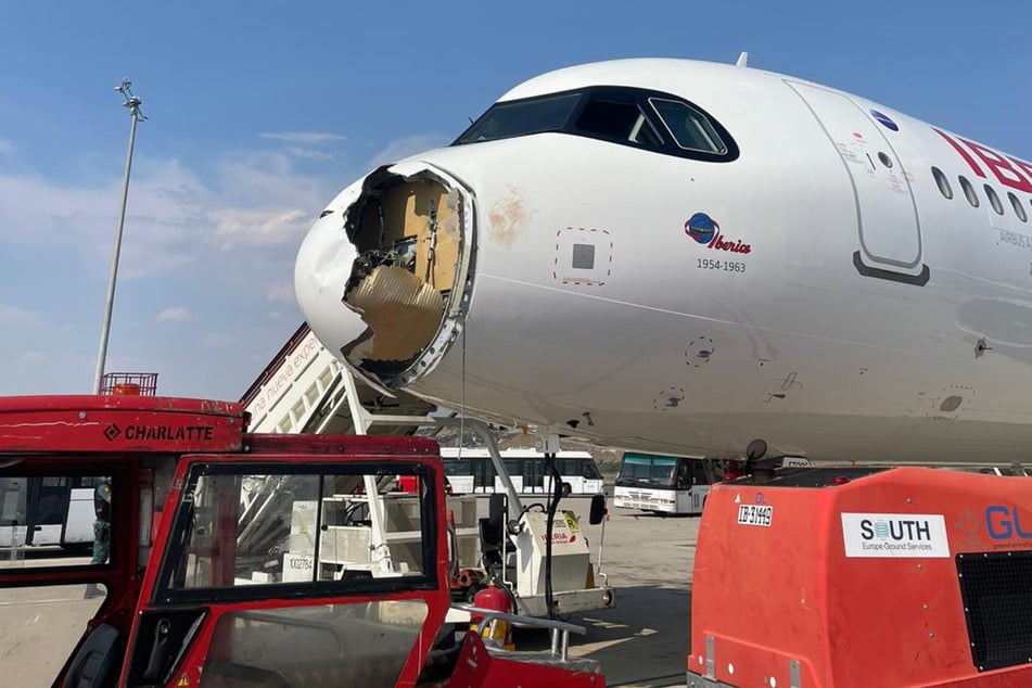 Offenbar ein Geier sorgte für enormen Schaden an der Nase des Fliegers.