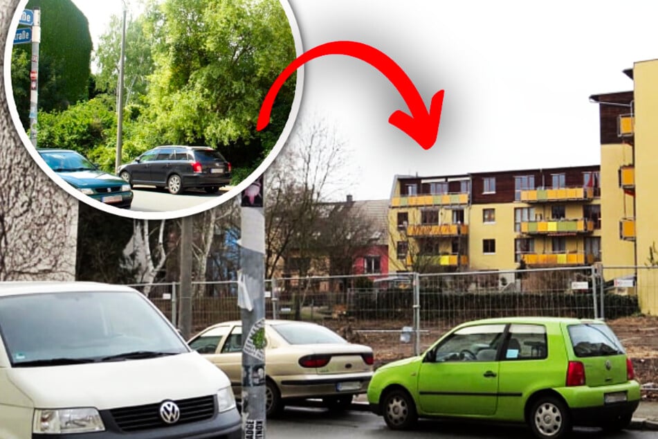 Leipzig: Naturschützer toben: "Leipzig wächst ohne Rücksicht auf die städtische Natur"