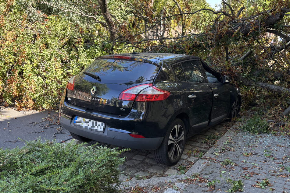 Der Baum traf auch einen Renault.