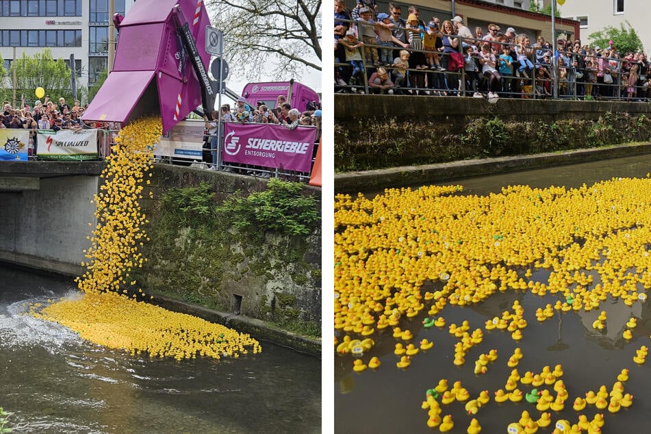 7000 Entchen schwimmen in Esslingen um die Wette!