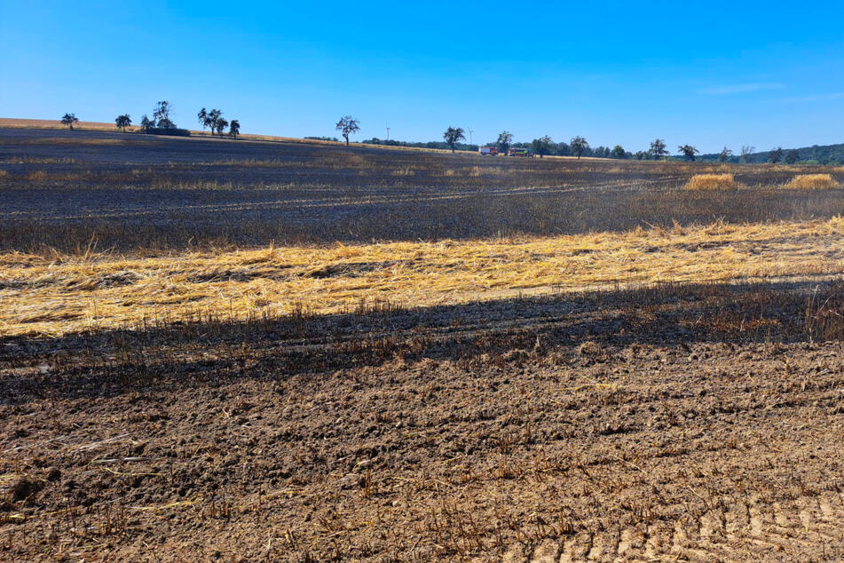 Rund 14 Hektar Getreidefeld waren betroffen, ein Teil völlig zerstört.