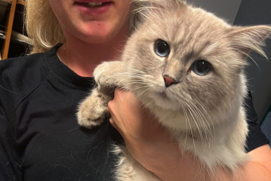 Eine Berliner Polizistin hält eine gefundene Katze im Arm.