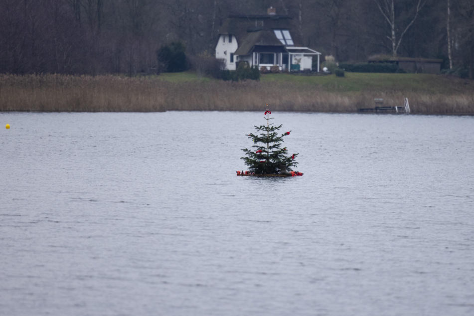 Ein Weihnachtsbaum schwimmt auf dem Bosseer Schoor.