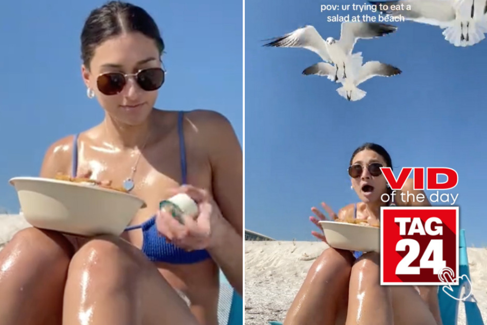 viral videos: Viral Video of the Day for March 4, 2024: Seagulls pester girl on beach for her yummy salad!