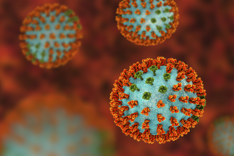 Das Vogelgrippe-Virus kann von einem Tier auf den Menschen übertragen werden (Symbolbild).