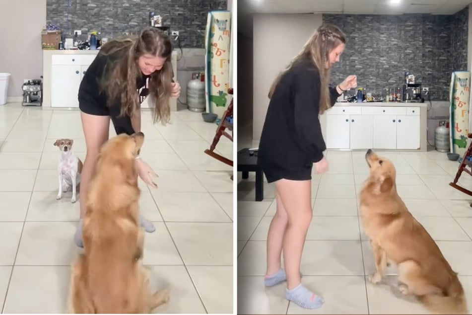 Die Hundehalterin hatte nur Augen für den Golden Retriever.