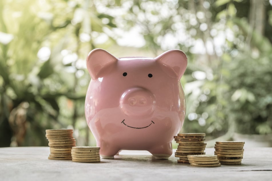 Prasátko Brooklyna Taylora se dobře směje. (Symbolfoto)