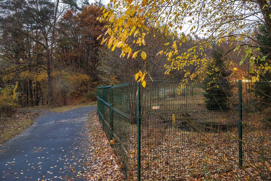 Hier in der Nähe eines Regenrückhaltebeckens wurde der glitzernde Schatz gefunden.