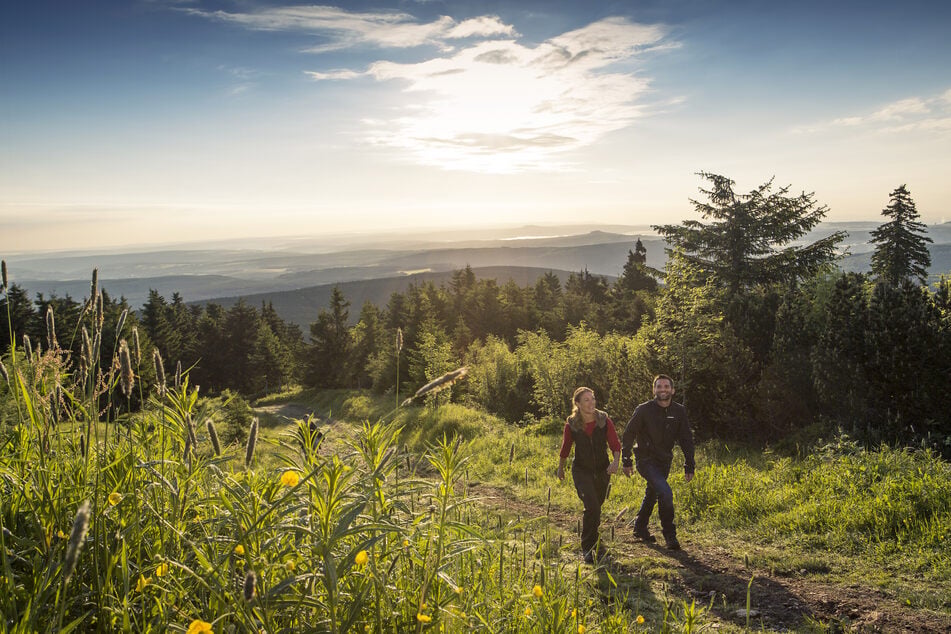 Wunderschön: Der Kammweg führt über Hügel und Wälder über den Fichtelberg.