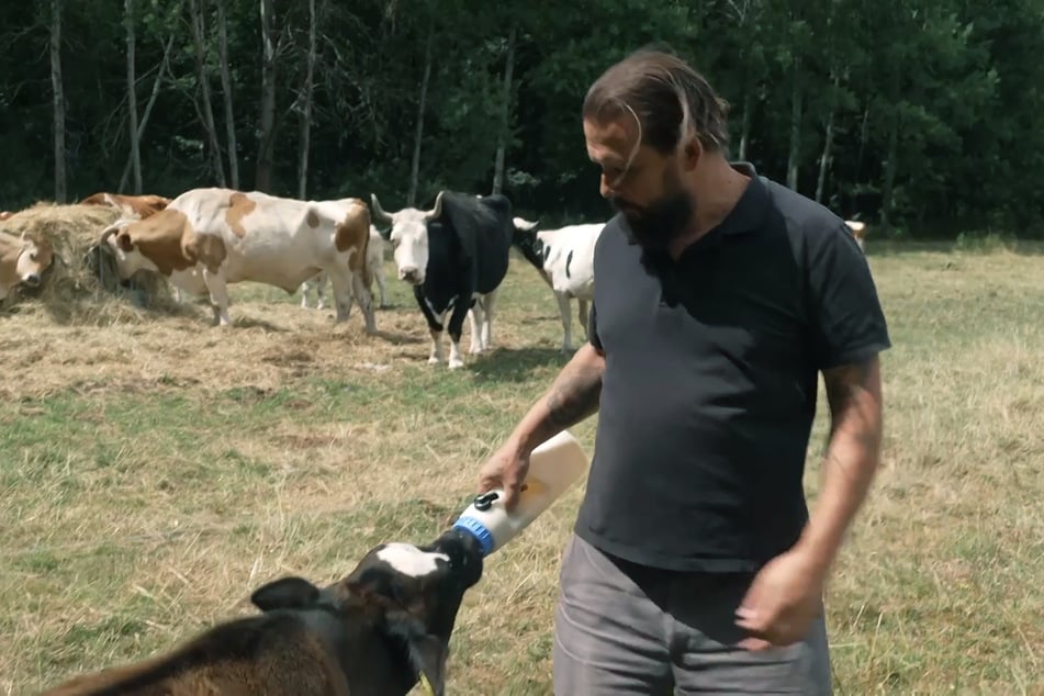 Aus religiösen Gründen gibt der überzeugte Hinduist Sebastian Becher seit vielen Jahren ungewollten Kühen ein Zuhause mit seinem Verein Happy Kuh.