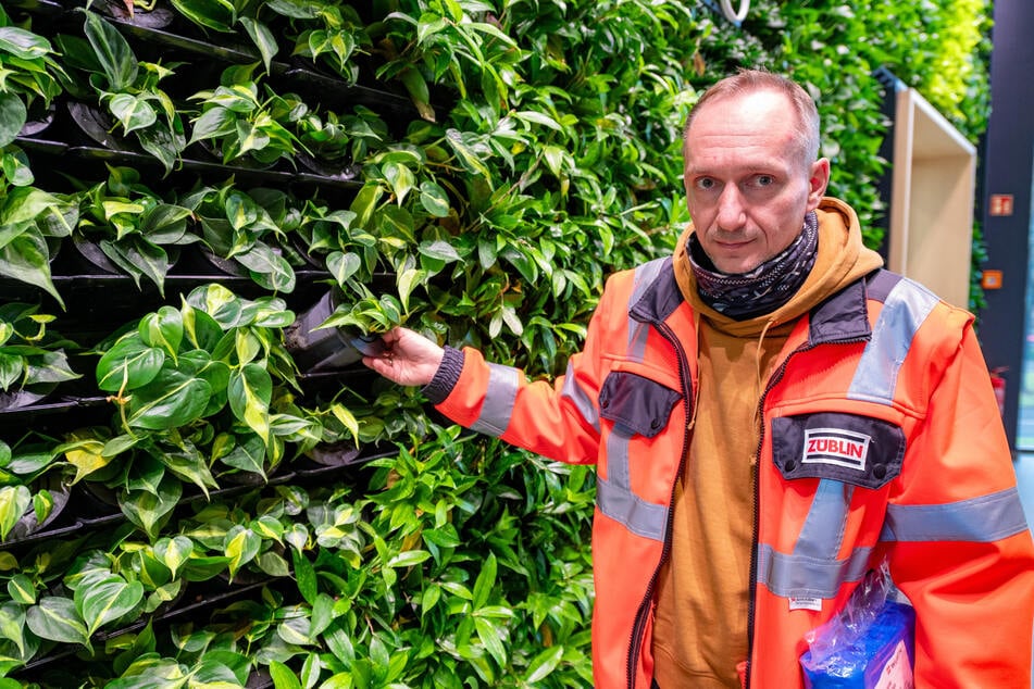 Projektleiter Daniel Baumann (46) zeigt das Grün, dessen Pflege jährlich rund 19.900 Euro kostet.