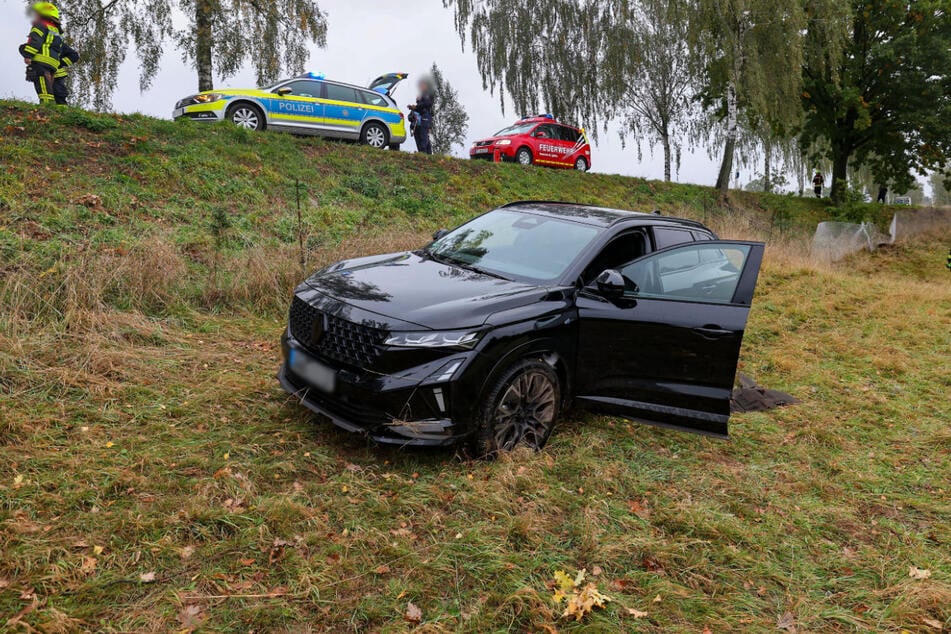 Der Renault landete auf einer Wiese neben der Fahrbahn.