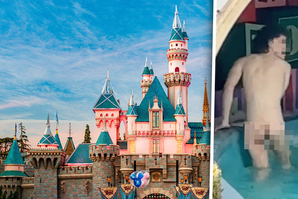 Neue "Attraktion" im Disneyland: Nackter sorgt für ungläubige Gesichter