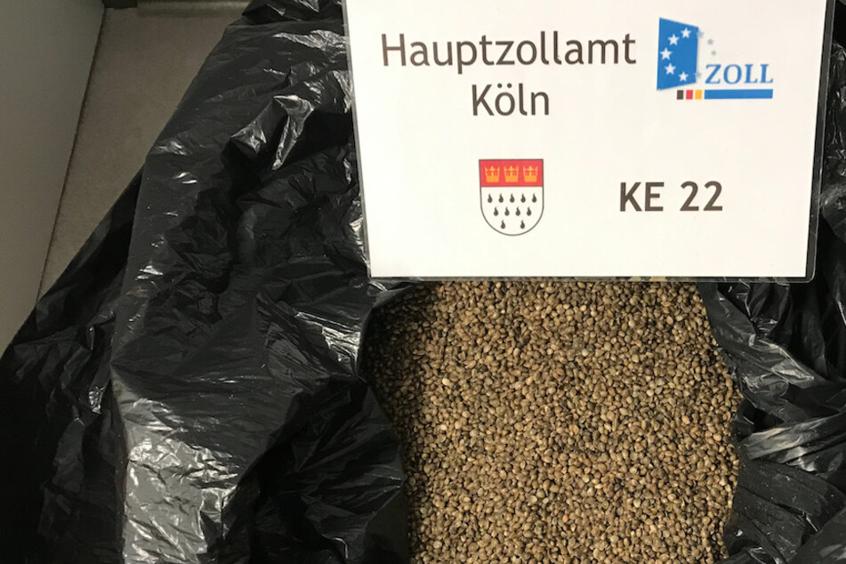 Der Zoll in Köln beschlagnahmte rund 50 Kilogramm Cannabis-Samen.