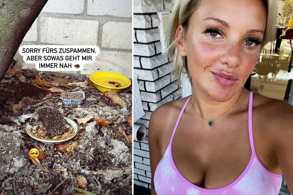 Evelyn Burdecki (33) hat im Garten ihrer Eltern einen verwaisten Igel entdeckt. (Fotomontage)