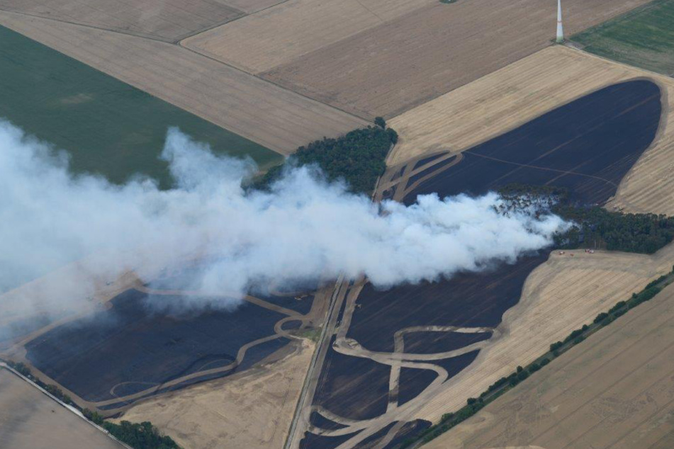 Im Landkreis Jerichower Land brannte am Samstag eine Feldfläche.