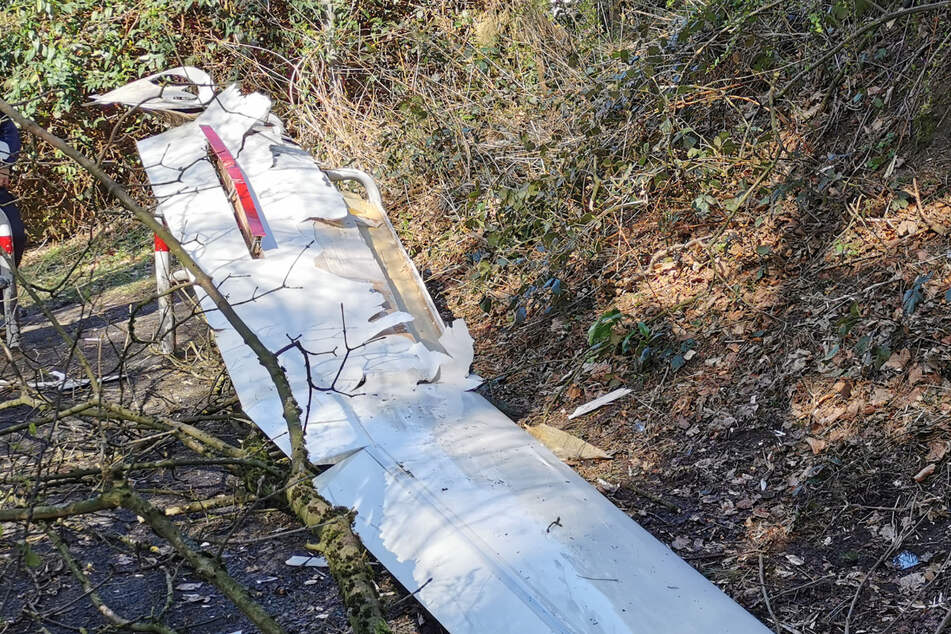 Mann stürzt mit Segelflugzeug in Waldgebiet und stirbt