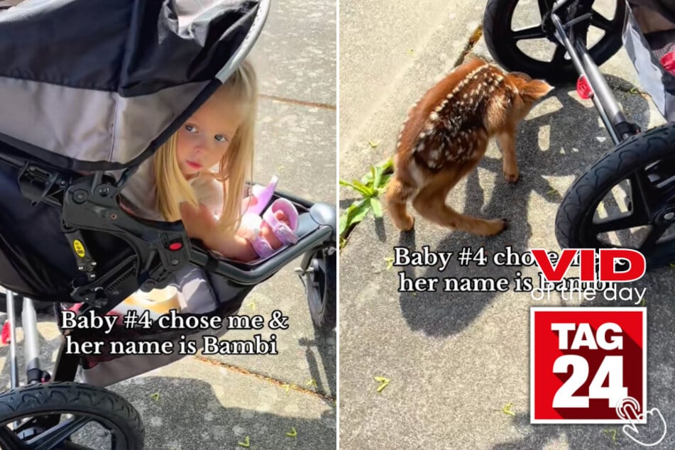 This mom's unexpected encounter with a wild baby deer has the internet in a total meltdown!