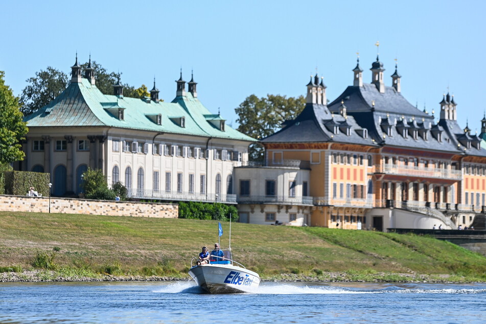 Der Unternehmer düst mit seinen Fahrgästen über die Elbe, unternimmt Touren auch nach Pillnitz.