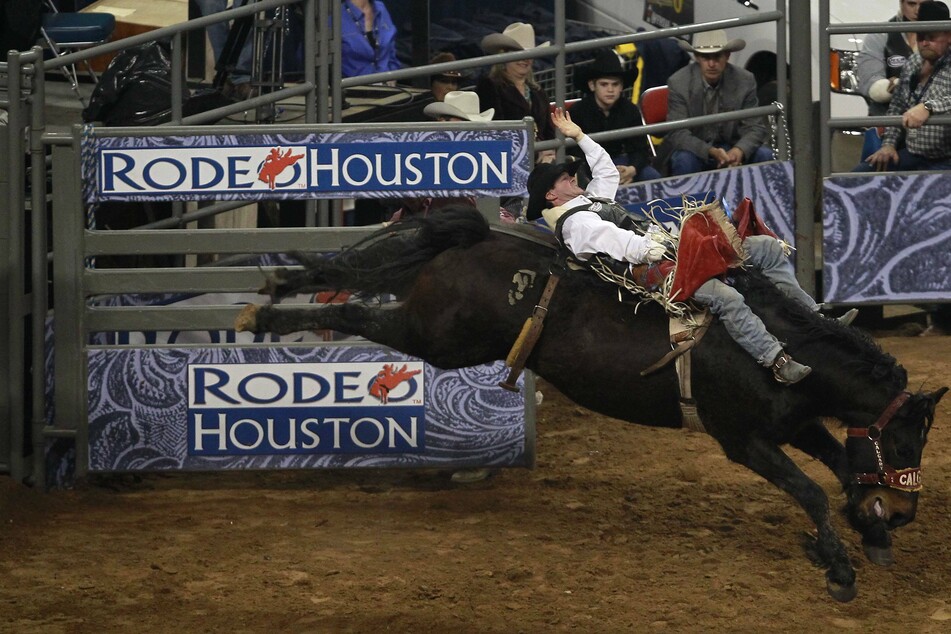 The Houston Livestock Show and Rodeo regularly draws crowds of over 2 million people in total (archive image).