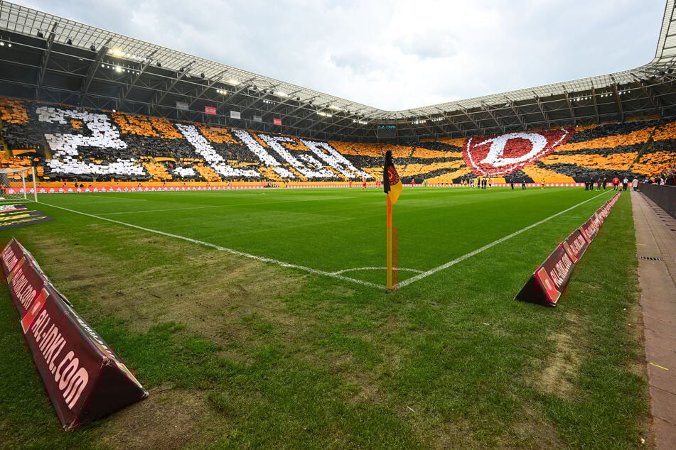 Der teils arg mitgenommene Rasen wird im Sommer ausgetauscht - nicht die einzige Umbaumaßnahme im Rudolf-Harbig-Stadion.