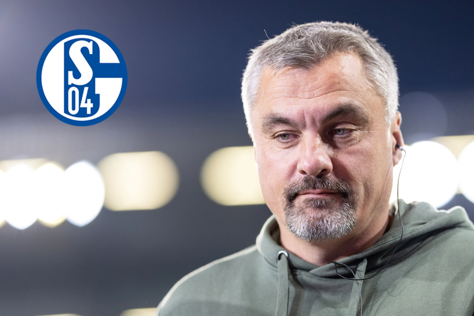 Das war's! FC Schalke 04 feuert Trainer Thomas Reis