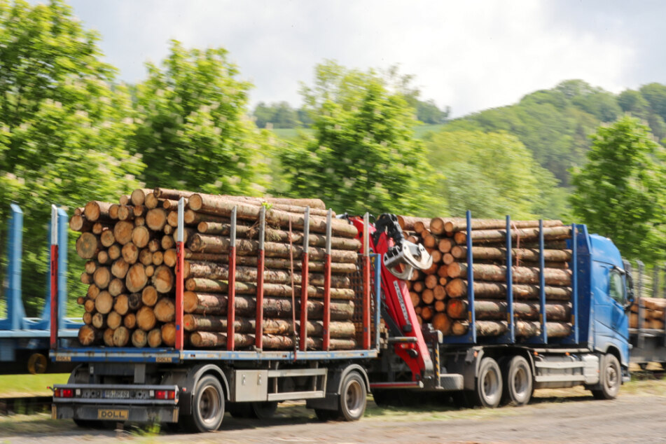 Ein Holztransporter fährt aus dem Wald. (Symbolbild)