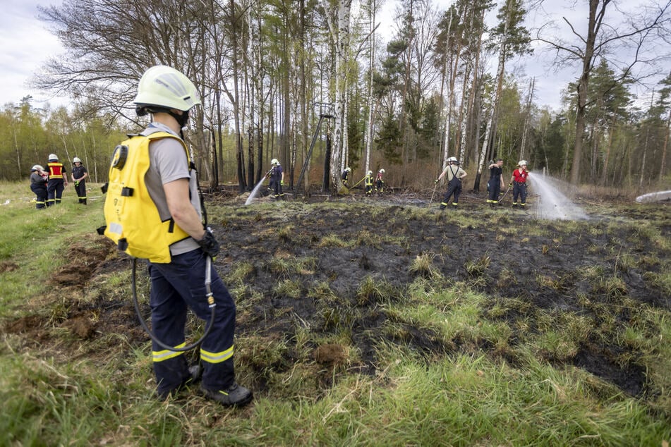 Die Flammen hatten sowohl Bäume als auch Wiese erfasst.