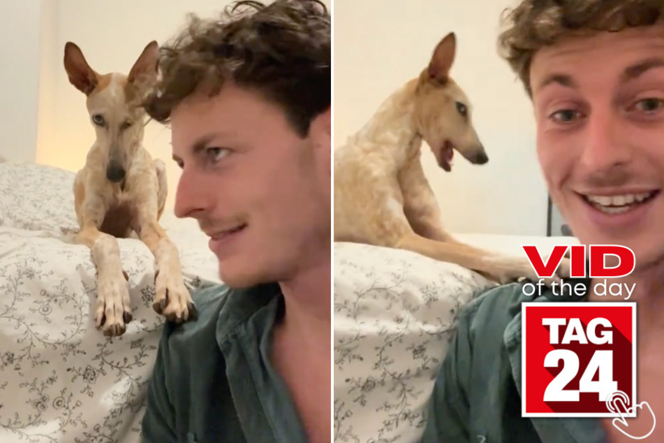 Today's Viral Video of the Day features a stare-down between an expressive pup and her owner!