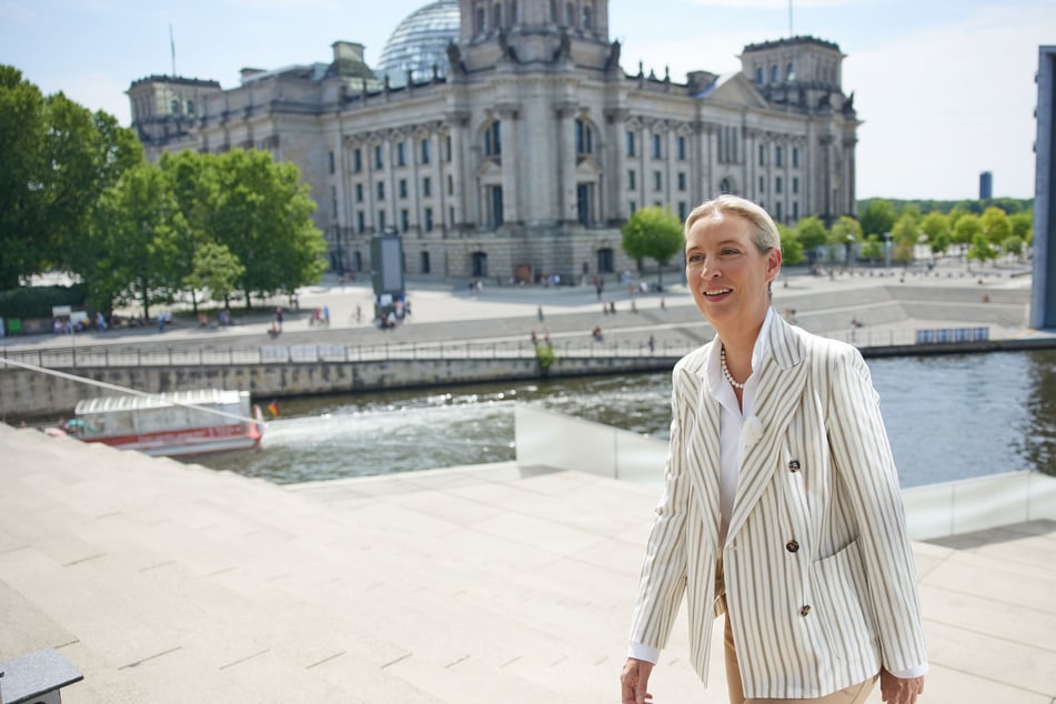 AfD-Chefin Alice Weidel (46) wurde beim ARD-Sommerinterview am Sonntag von einer Spontankundgebung gestört.