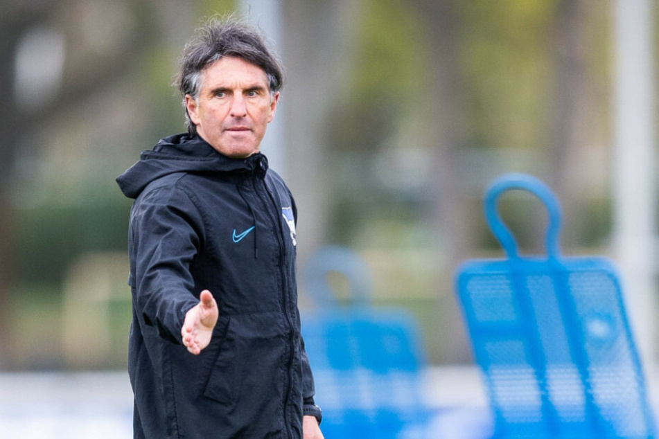 Bruno Labbadia ist der inzwischen vierte Hertha-Trainer in dieser Saison.