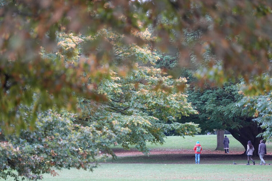 Das Wetter überrascht zum Wochenstart mit milden Temperaturen.